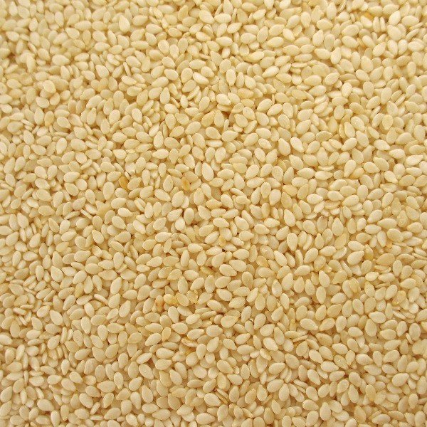 Sesame 1